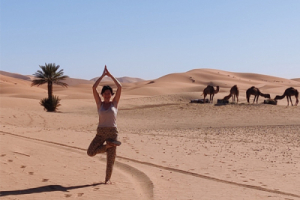 Luna Yoga Donnerstag Abend / 11.9.2025-11.12.2025